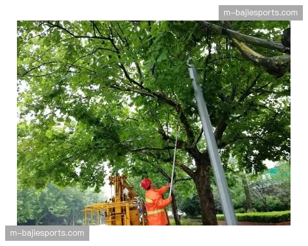 三笘薰的健康状况与赛区环境直接挂钩，医疗保障工作面临精细化挑战。